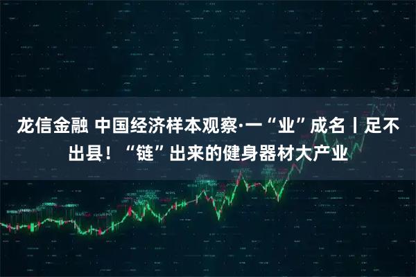 龙信金融 中国经济样本观察·一“业”成名丨足不出县！“链”出来的健身器材大产业