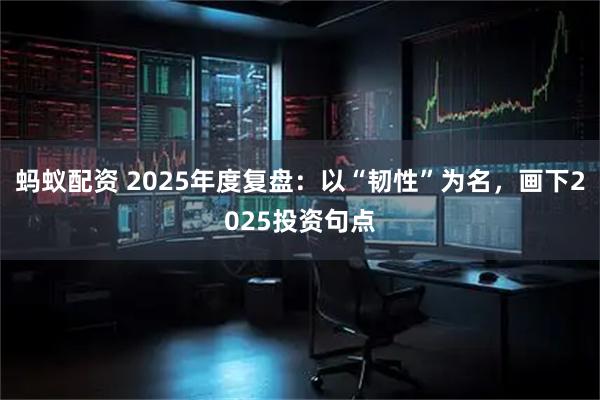 蚂蚁配资 2025年度复盘：以“韧性”为名，画下2025投资句点